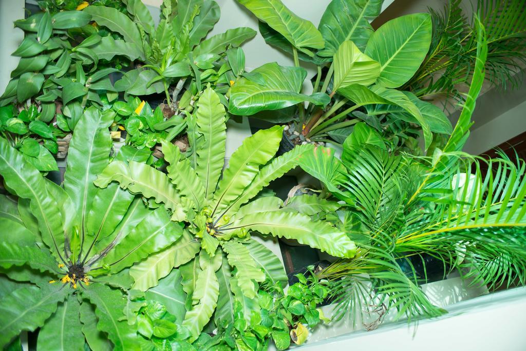 Riverview Cambodia Boutique Hotel プノンペン エクステリア 写真